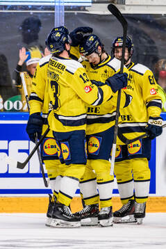 Oliver Ekman-Larsson and Albert Johansson of Sweden