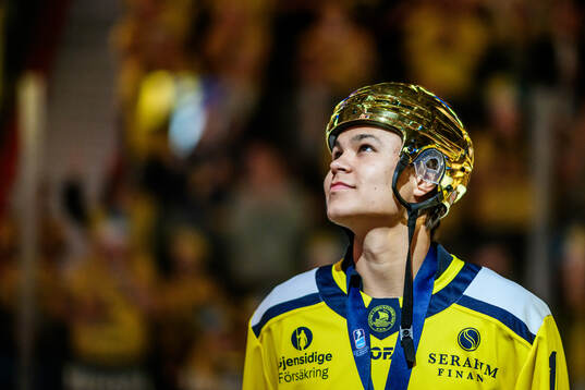 Herman Liv of the Swedish national u20 ice hockey team are
