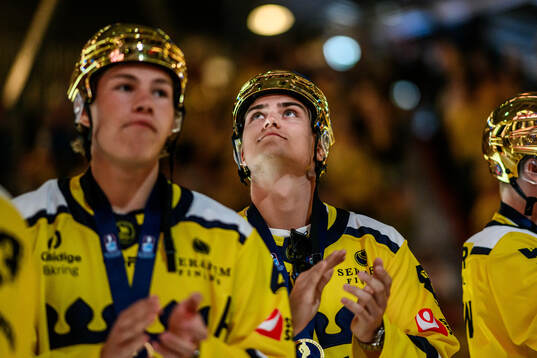 Players of the Swedish national u20 ice hockey team are
