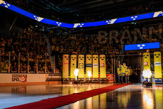 Players of the Swedish national u20 ice hockey team are