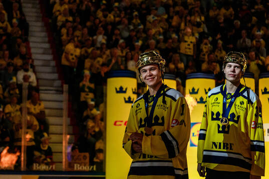 Herman Liv of the Swedish national u20 ice hockey team are