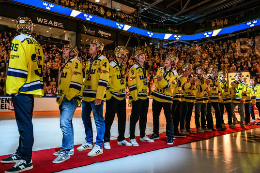 Players of the Swedish national u20 ice hockey team are