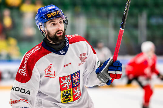 Libor Zabransky of Czech Republic