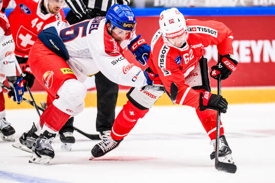 Kristian Reichel of Czech Republic and Denis Malgin of