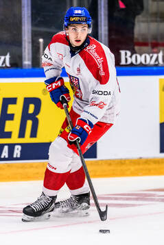 Tomas Cibulka of Czech Republic