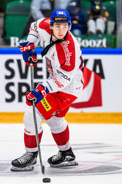 Tomas Cibulka of Czech Republic