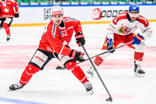 Denis Malgin of Switzerland