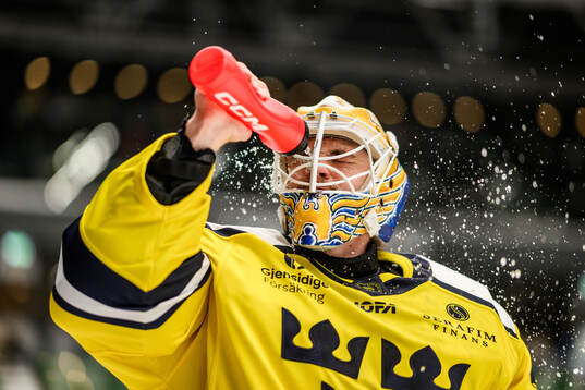Goaltender Arvid Söderblom of Sweden