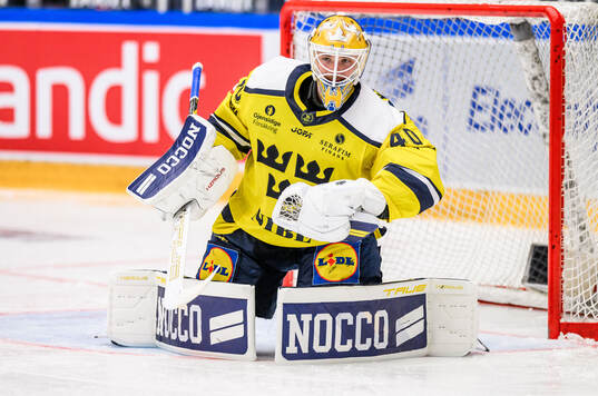 Goaltender Arvid Söderblom of Sweden