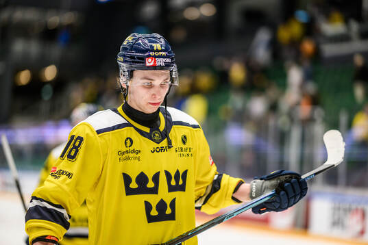 Sascha Boumedienne of Sweden looks dejected