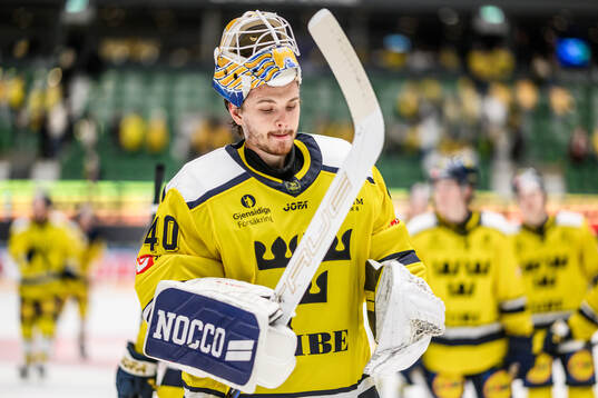 Goaltender Arvid Söderblom of Sweden looks dejected