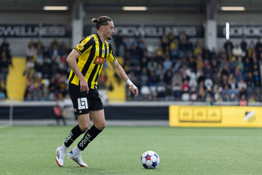Häckens Amor Layouni