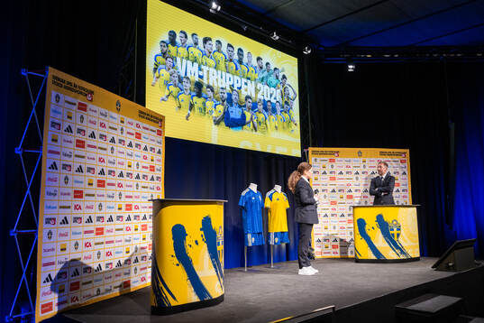 Head coach Graham Potter of the Swedish men's national