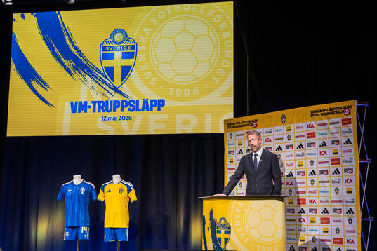 Head coach Graham Potter of the Swedish men's national