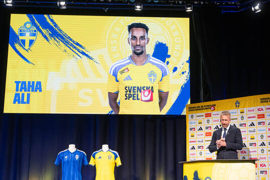 Head coach Graham Potter of the Swedish men's national