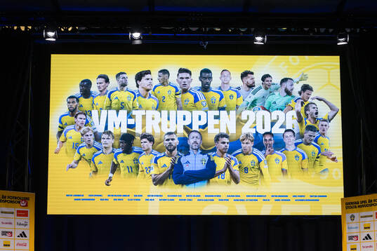 Head coach Graham Potter of the Swedish men's national