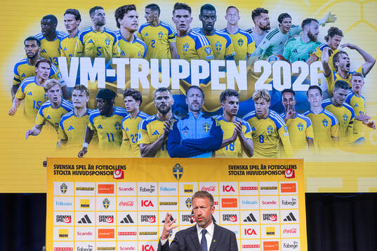 Head coach Graham Potter of the Swedish men's national