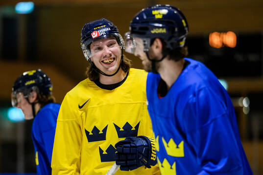 Oscar Sundqvist and Oliver Ekman-Larsson of Sweden at a