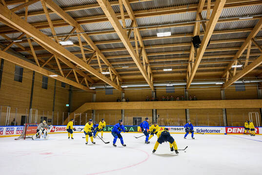 Players of Sweden at a practice session