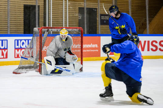 goaltender Arvid Söderblom and Oscar Sundqvist of Sweden