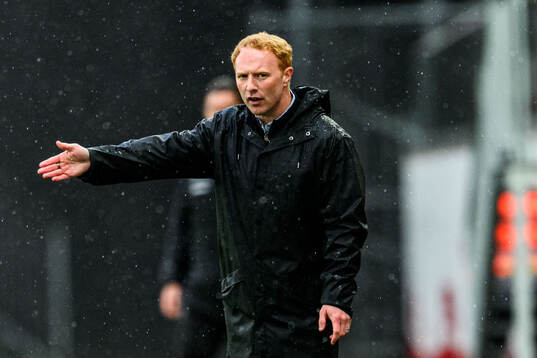 Helsingborgs manager Stevie Grieve