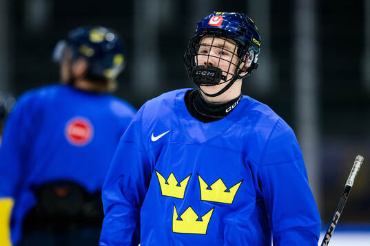 Viggo Björck of Sweden at a practice session