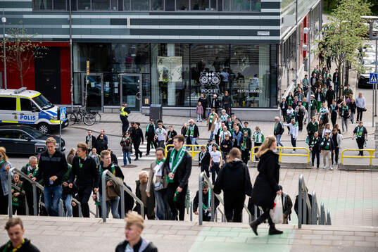 Hammarby supportrar