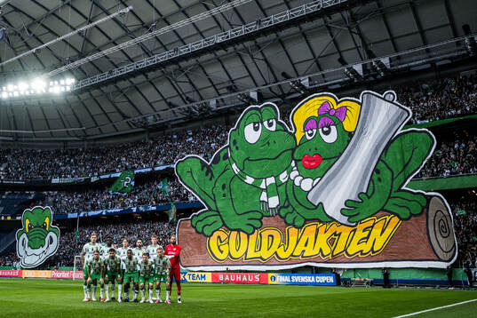 Hammarbys startelva