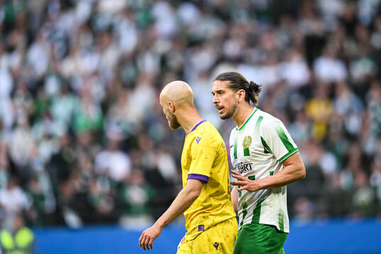 Hammarbys Nikola Vasic
