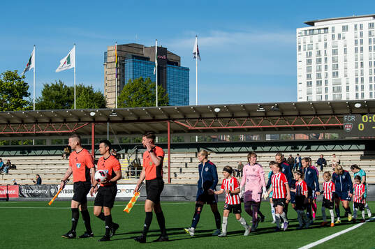 Malmö IP