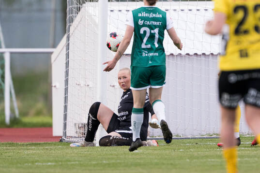 Under fotbollsmatchen i Elitettan mellan Alingsås och