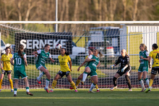 Kamp i Elfsborgs straffområde