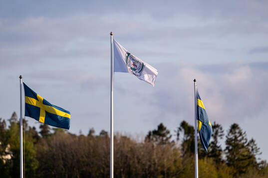 Alingsås IF’s flagga