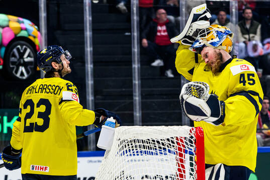 Oliver Ekman-Larsson and goaltender Magnus Hellberg of