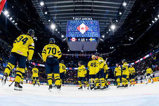 Players of Sweden