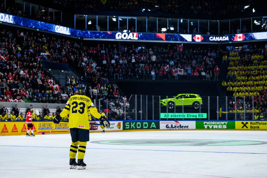 Oliver Ekman-Larsson of Sweden looks dejected
