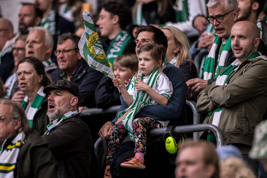 Hammarbys supportrar