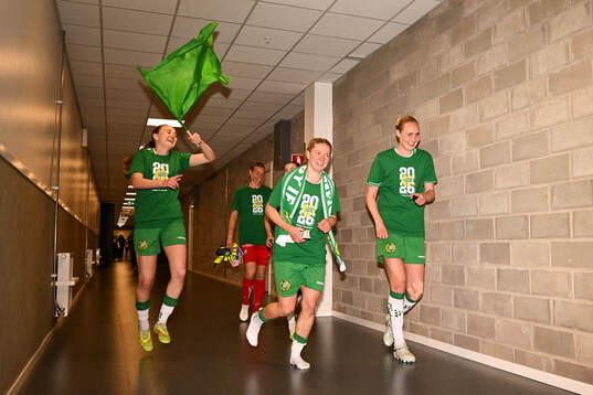 Hammarbys spelare jublar