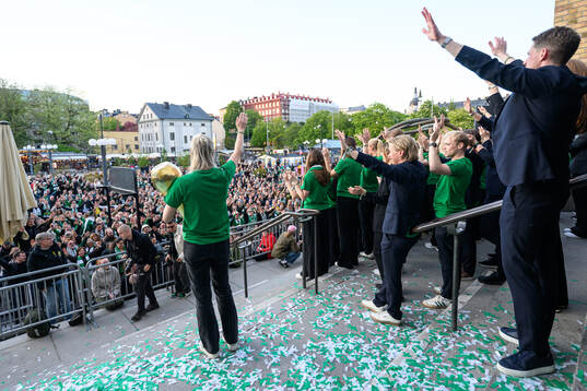 Hammarbys spelare