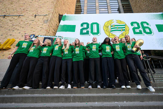 Hammarbys spelare