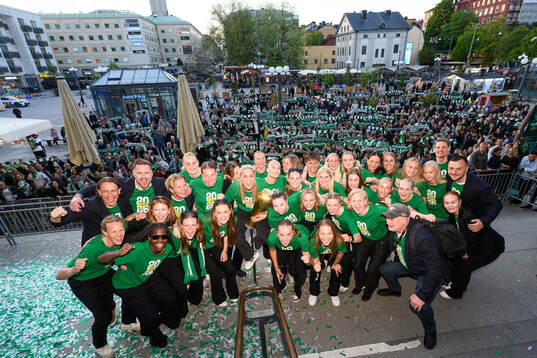 Hammarbys spelare