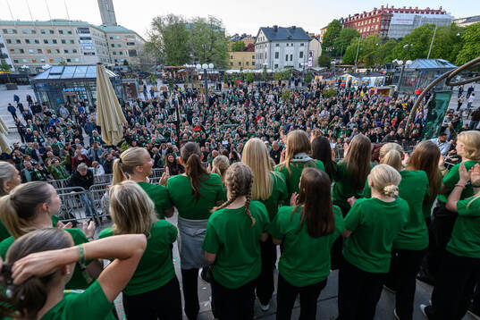 Hammarbys spelare