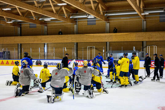 Players of Sweden at a practice session