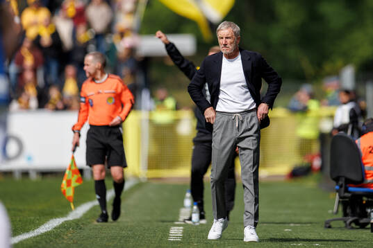 Halmstads tränare Stuart Baxter