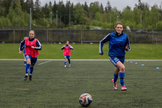 Spelare från Gotlands distrikt