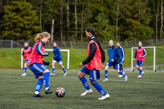 Spelare från Gotlands distrikt