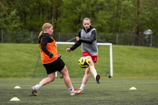 Spelare från Bohusläns distrikt
