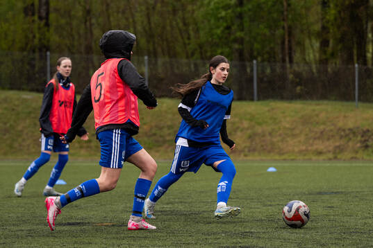 Spelare från Gotlands distrikt