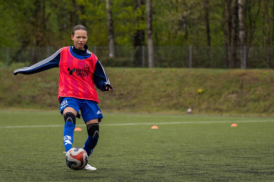 Spelare från Gotlands distrikt