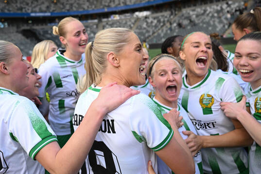 Hammarbys spelare jublar
